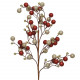 Ramo con bacche rosse