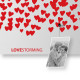 Lavagna magnetica con accessori magnetici portafoto e appunti "LOVESTORMING"