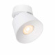 Faretto da soffitto in metallo con diffusore orientabile dal design moderno