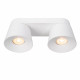 Faretto da soffitto in metallo con doppio diffusore orientabile design moderno