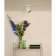 Faretto in alluminio LED integrato orientabile e dimmerabile dal design moderno