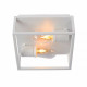 Lampada da soffitto con struttura in alluminio moderna con doppia lampadina
