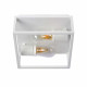 Lampada da soffitto con struttura in alluminio moderna con doppia lampadina