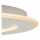 Lampada da soffitto rotonda con diffusore a LED dal design moderno