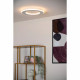 Lampada da soffitto rotonda con diffusore a LED dal design moderno