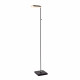 Lampada da terra da lettura struttura in metallo e diffusore a LED dimmerabile