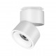 Faretto moderno in alluminio con LED dimmerabile per sistema binario monofase