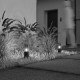 Lampioncino da giardino struttura in alluminio e diffusore in vetro