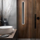 Applique a led grande lineare con struttura in metallo e diffusore in acrilico