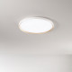Plafoniera da soffitto grande con led dimmerabile struttura in metallo rotonda