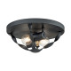 Plafoniera rotonda dal design rustico in acciaio con diffusore a 2 luci