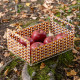 Cassetta porta frutta in plexiglass dal design elegante
