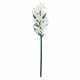 Fiore di giglio piccolo in plexiglass per vaso