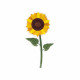 Fiore di girasole in plexiglass per vaso