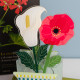 Set 6 pezzi Fiore di papavero in plexiglass per vaso
