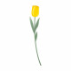 Fiore di tulipano grande in plexiglass per vaso