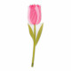 Set 6 pezzi Fiore di tulipano in plexiglass per vaso 