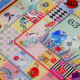 Gioco Vest'oca
