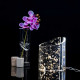 Lampada da tavolo a led struttura in plexiglas dal design moderno ed elegante