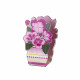 Profumatore per ambiente in plexiglass con bastoncini fragranza inclusa da 50ml