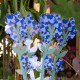 Fiore di nontiscordardime in plexiglass per vaso