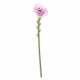 Fiore grande di petunia in plexiglass per vaso